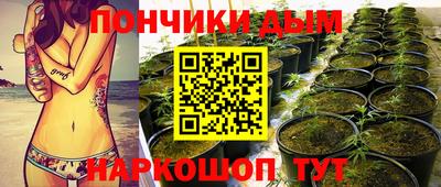 шишки Донецк