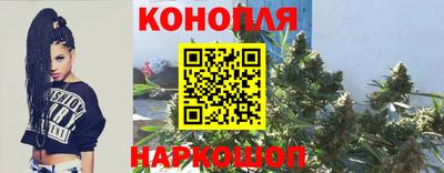 шишки Донецк