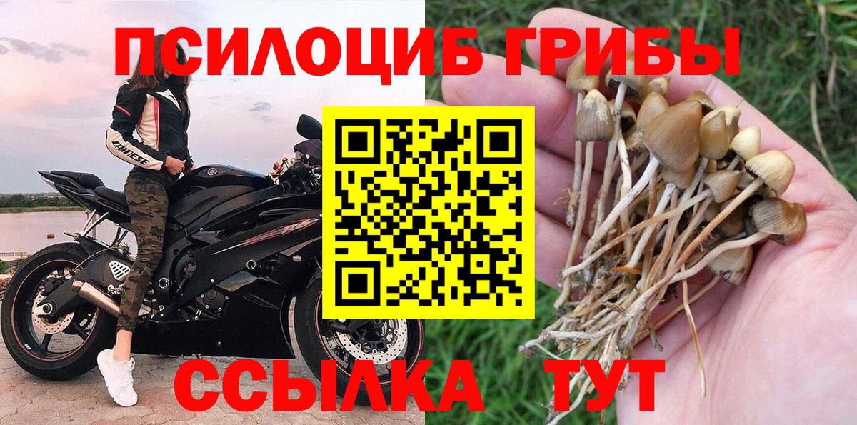 Галлюциногенные грибы мицелий  Псилоцибиновые грибы Magic Shrooms  Мичуринск  Вход с VPN 