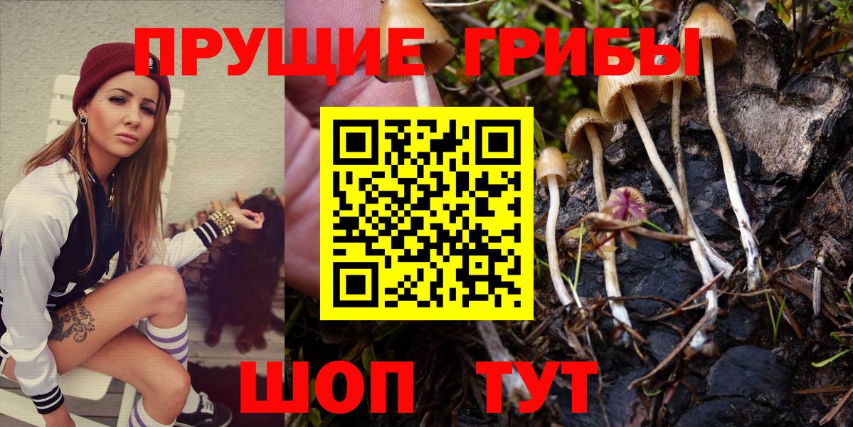 Псилоцибиновые грибы мухоморы Мичуринск